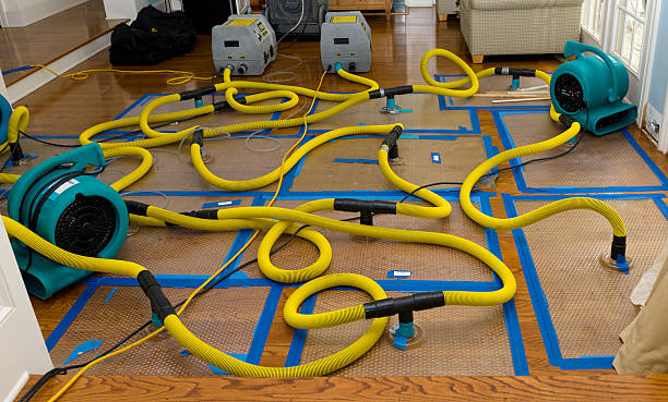Professional Crawl Space Water Removal technician working in Mooreville, MS